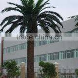 2017 Artificial Outdoor Palm Tree Plastic Palm Tree Palm Trees Sale thumbnail-1