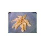 Sell Fish Products (Hong Kong)