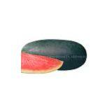 Sell Balck Beauty Type Watermelon Seeds 1119 thumbnail-1