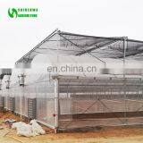 Classic Commercial Plastic Film Greenhouse/Garden Greenhouse for Sale thumbnail-4