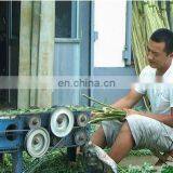 0.5% Damage Rate Weeping Willow Branch Scaling/Peel Machine/Peeler thumbnail-5