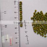Organic Green Mung Bean thumbnail-1
