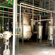 Magnolia Bark Extract 98% Magnolol & Honokiol thumbnail-3