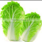 Jiuying New Design and Easy Operate Vegetable Dryer thumbnail-2