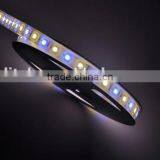 DC12V Dc24v SMD 5050 LED Strip RGBW thumbnail-4