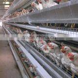 Poultry Chicken Cage Including Installation and After-sale Service for Sale thumbnail-2
