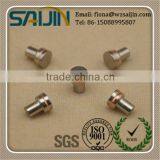 Copper Tungsten Rivets for Electric Horn