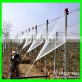 HDPE Hail Netting Anti Hail Netting Plastic Anti-hail Nets thumbnail-3