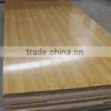 Bowling Lane-synthetic Lane thumbnail-1