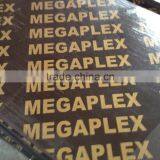 18mm Polar Core Black Film Faced Plywood in DUBAI thumbnail-5