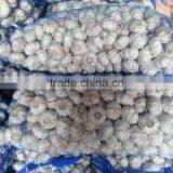 Fresh White Garlic 55-60cm Oganic Fresh Garlic thumbnail-3