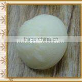 Factory Wholesale Plastic Round Buttons for Garment