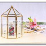 Geometric Terrarium Bird Cages Square Ornamental:: Buy Direct From China Wholesale:: 2016 Cheap Buy Wholesale Direct From China thumbnail-6