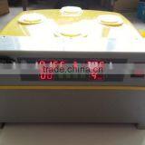 Best quality mini ZH-48 egg incubator for sale