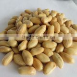 25/29 jumbo blanched peanuts