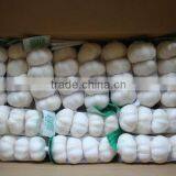 20kg Mesh Bag Garlic Price thumbnail-6