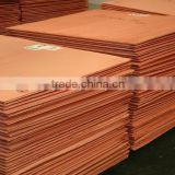 hot selling Copper cathode(Factory Price)