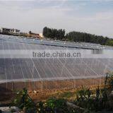 Pvc Greenhouse From Maxpower thumbnail-1