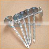 Top Quality Best Quality and Cheaper Big Head Roofing Nails Trusted Chuanghe Suppliers From Com thumbnail-6