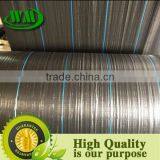 Weed Control thumbnail-2