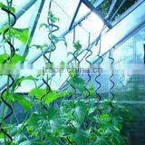 Metal Tomato Spiral Wire Rod thumbnail-1