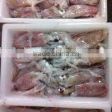 Frozen Baby Squid (5-7cm) thumbnail-1