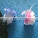 MASSAGE BRUSH thumbnail-1