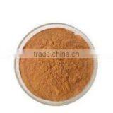 Andrographis Extract thumbnail-2