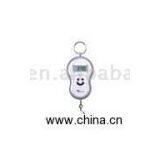 Sell Fishing Scale thumbnail-1