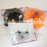 Halloween Spider Web thumbnail-1