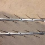 GEYE Small type Wall Spikes hot-dipped galvanized