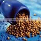Coriander Seeds thumbnail-1