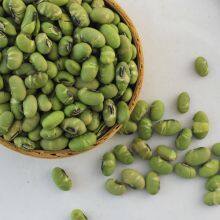 Dry Roasted Edamame Beans-sea Salt thumbnail-2