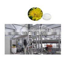 Multifunctional Production Line for Topinambur Inulin Fructose Synanthrin for Sale