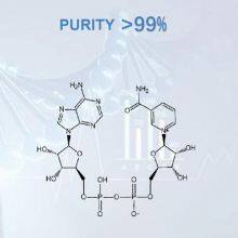 NAD β-Nicotinamide Adenine Dinucleotide//β-NAD thumbnail-5