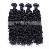 WJ002 5A Grade 100% Virgin Kinky Afro Curl Ombre Hair Extension Supplier's Choice thumbnail-2