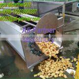 Hot Sale Potato Garlic Cleaning Peeling Machine for Commercial Use thumbnail-2