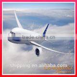 Cheapest Shenzhen/guangzhou/beijing/shanghai/yiwu DHL Air Freight Forwarder China to CROATIA ---Apple Skype:colsales32 thumbnail-3