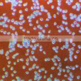 Artificial Diamond Micro Powder for Polishing and Abrasiving thumbnail-1