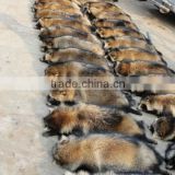 High Quality Raccoon Dog Fur Skin With Good Prices
