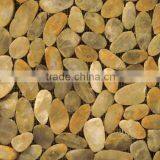 Bathroom Design Mosaics, Pebble Mosaic Tile, Natural Stone Mosaic Design(PMSG270)