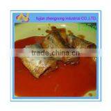 Spain 155g Canned Mackerel Fish in Tomato Sauce(ZNMT0069)