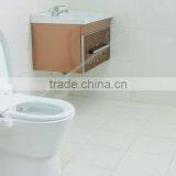 Water Wash Toilet Bidet AMI930 thumbnail-4