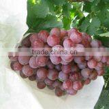 Fresh Red Globe Grapes For Sale