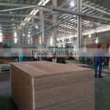 Plywood From Vietnam With Multi-applications thumbnail-6