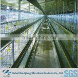 High Quality Automatic Layer Chicken Cages/chicken Egg Layer Cage/egg Layers Cage Design thumbnail-2
