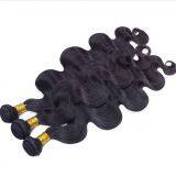 8 Inch Clip in Human Hair Extensions Remy Hair Extensions thumbnail-2