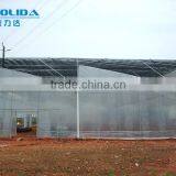 Arch Pipes Poly Multi-span Greenhouse for Vegetables thumbnail-1