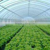 Agricultural Plastic Film Covering Tunnel Greenhouse For Vegetables thumbnail-3