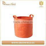 New Design Artifical Plant Pot,round Coloured Plant Pot thumbnail-4